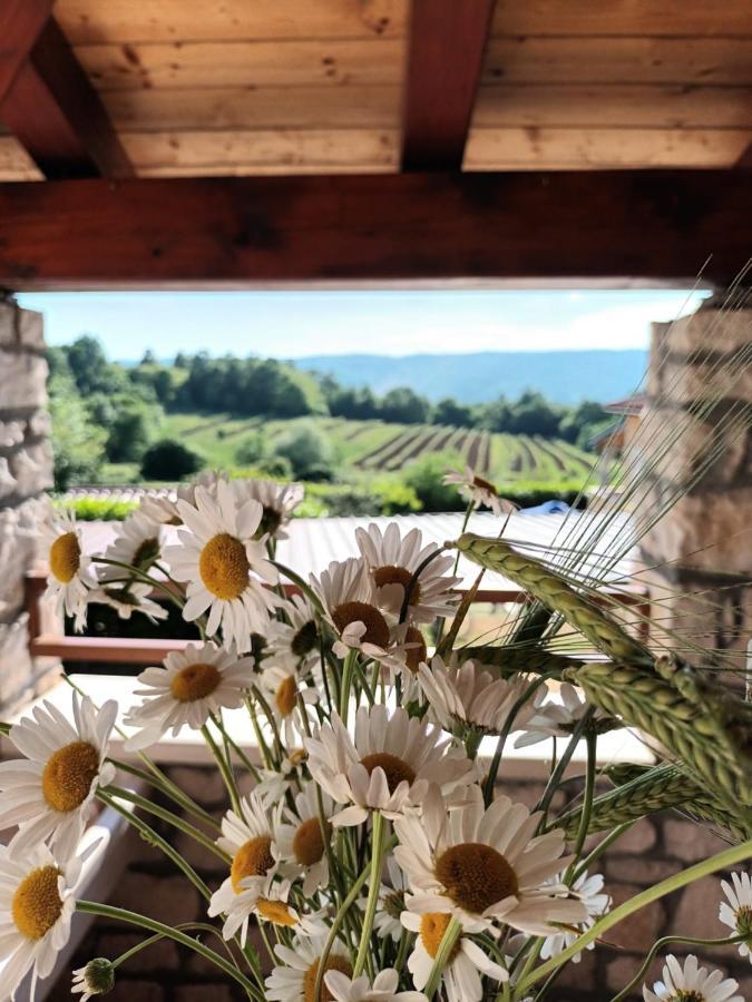 Guesthouse Marija Potpićan Eksteriør bilde